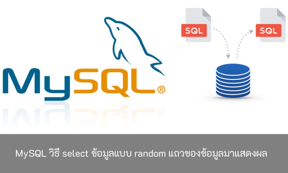 มาเขียนตรวจสอบบัญชี หรือ Lock User จากฐานข้อมูล MySQL ของ MQL5 (MQL4)